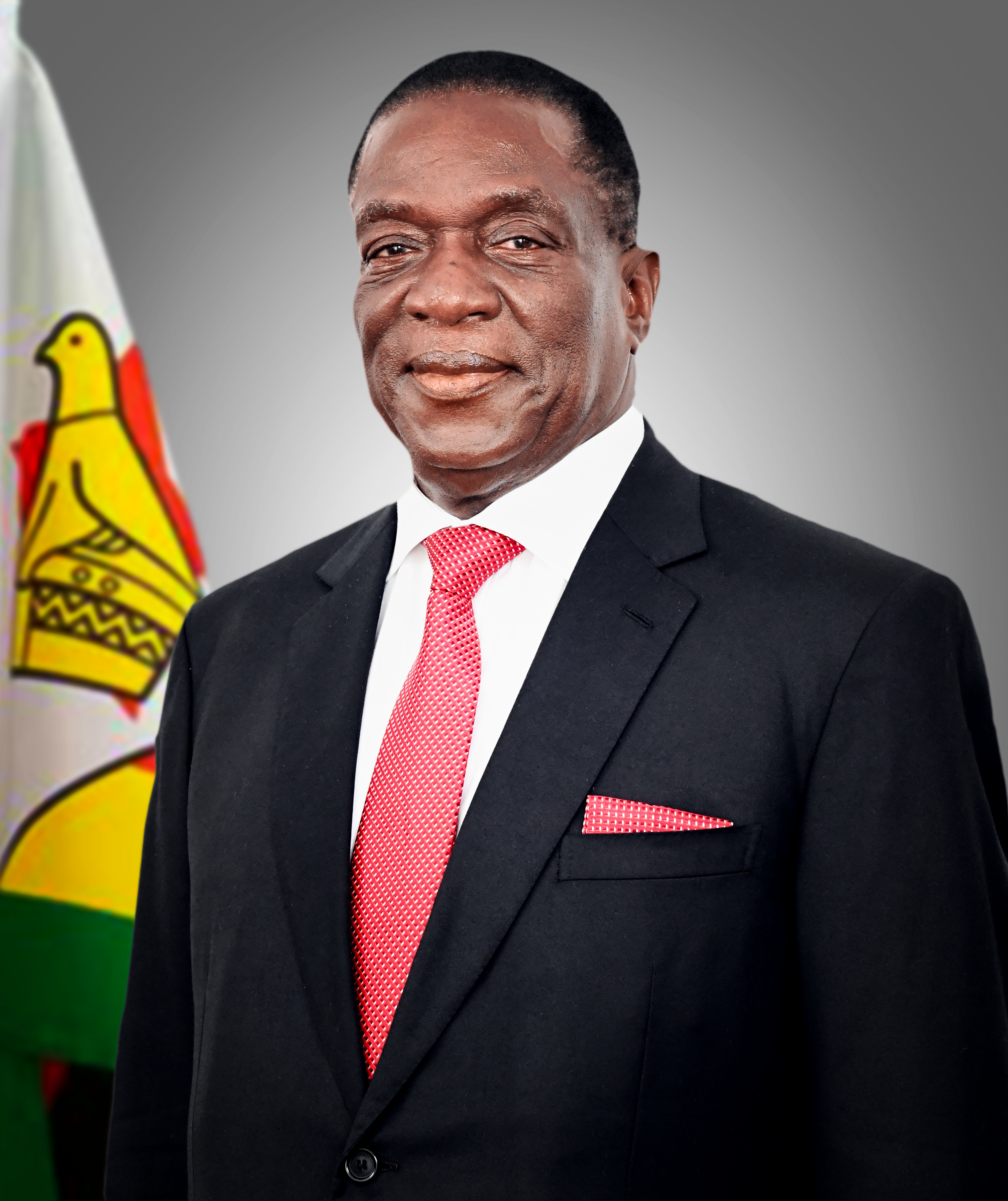 President Emmerson Mnangagwa with Zimbabwe’s national flag